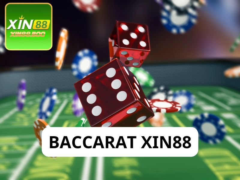 Theo dõi các xu hướng thường xuyên khi chơi Baccarat XIN88